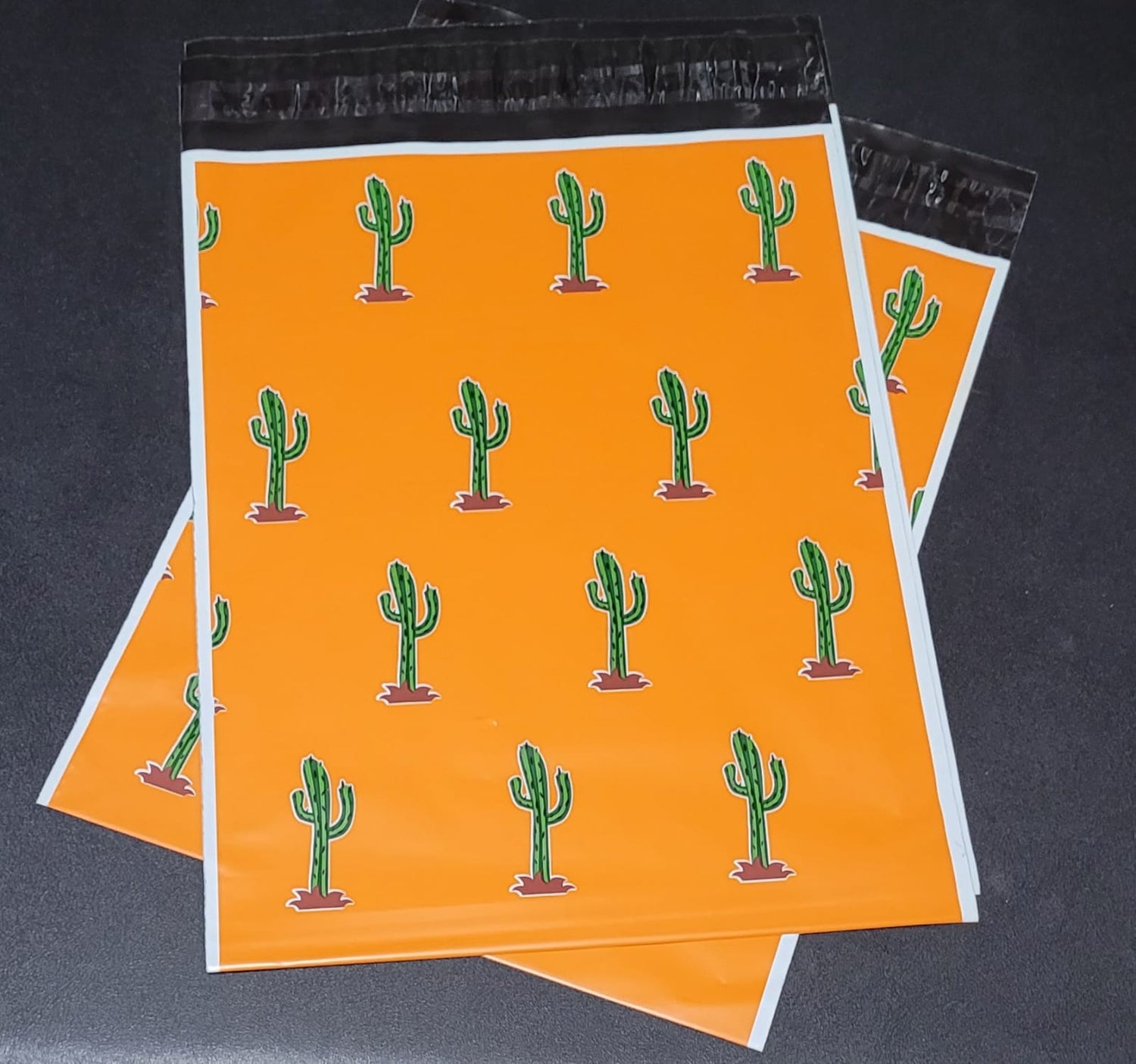 10x13 Bolsa de Envio Cactus Orange
