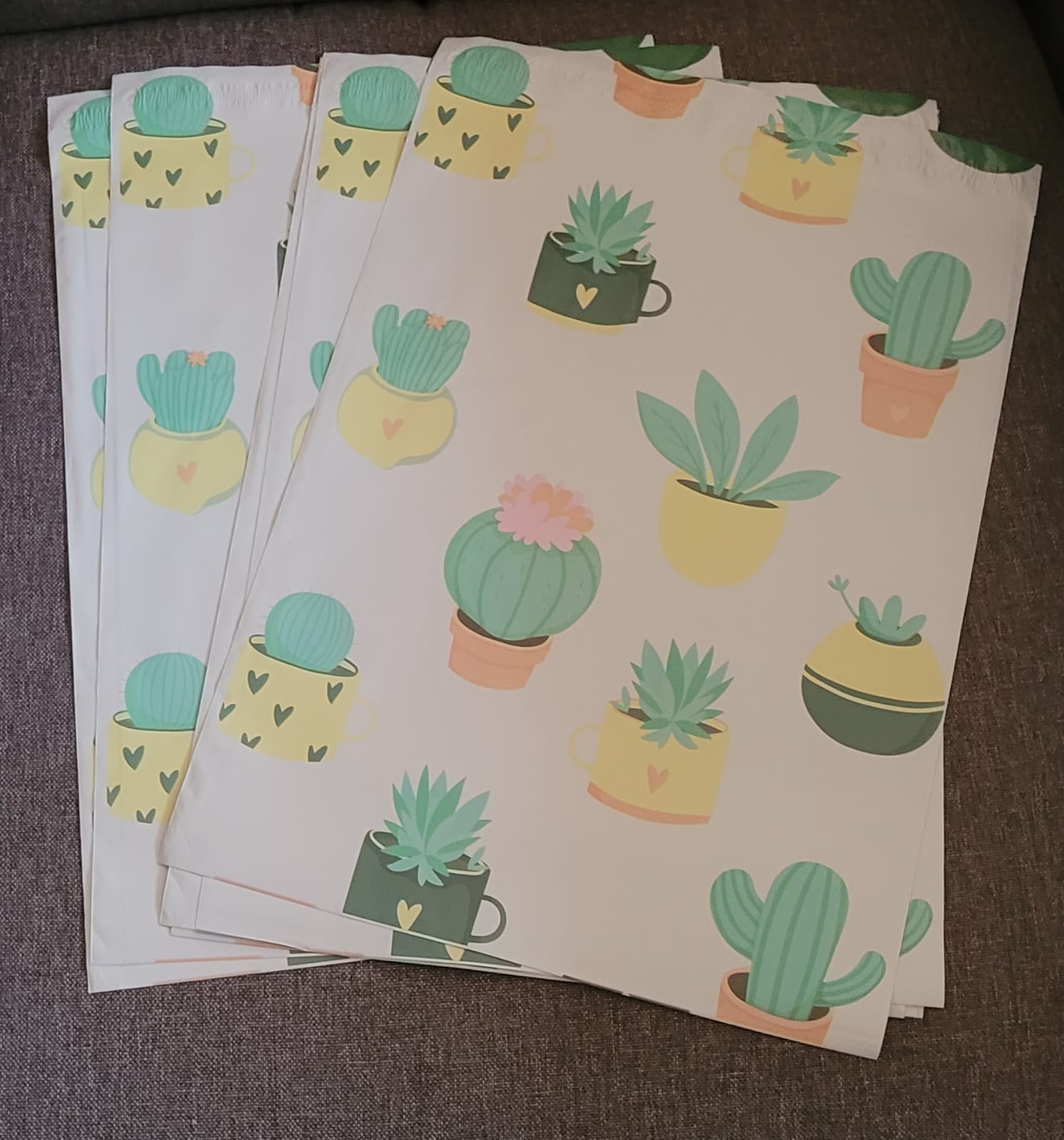 10x13 Bolsa de Envio Succulents